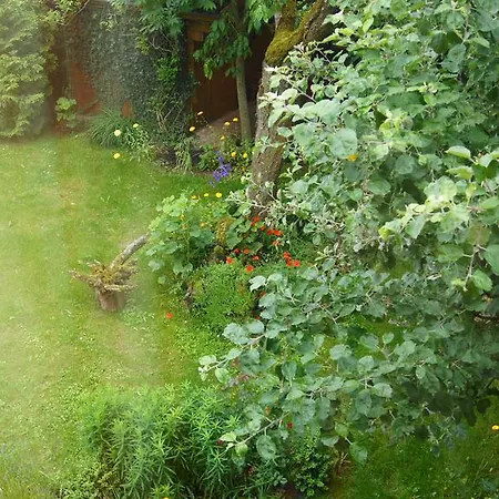 Appartement Benji 4*